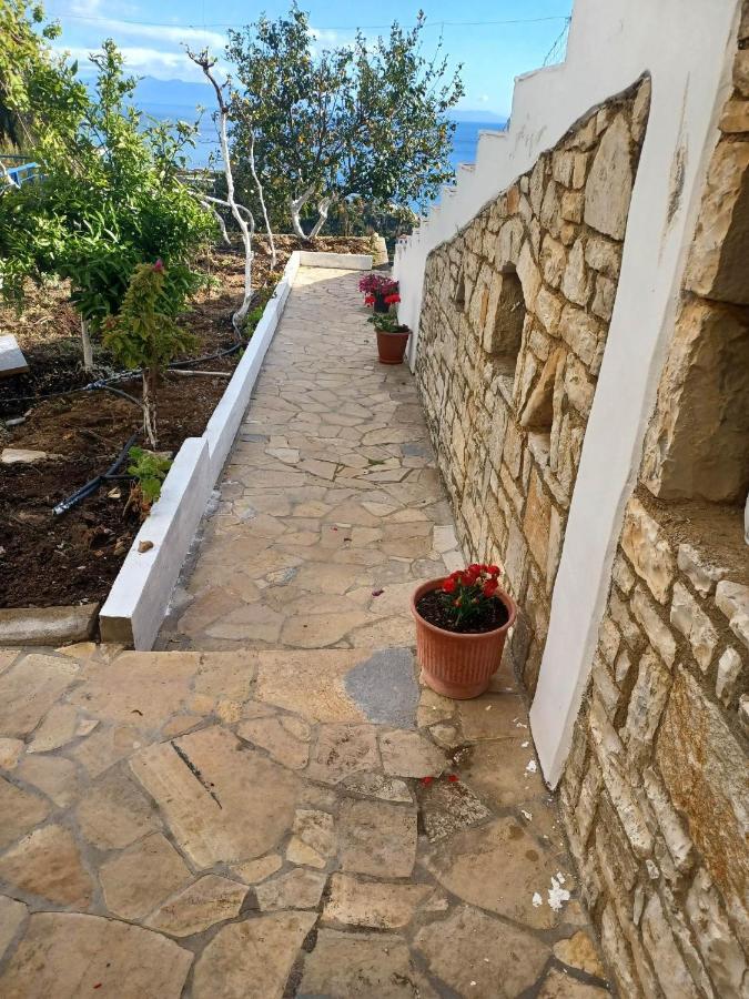 Ionian View Guest House Κηπαρό Εξωτερικό φωτογραφία